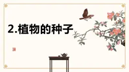 [皖教版]三年级上册综合实践活动2.植物的种子教学课件