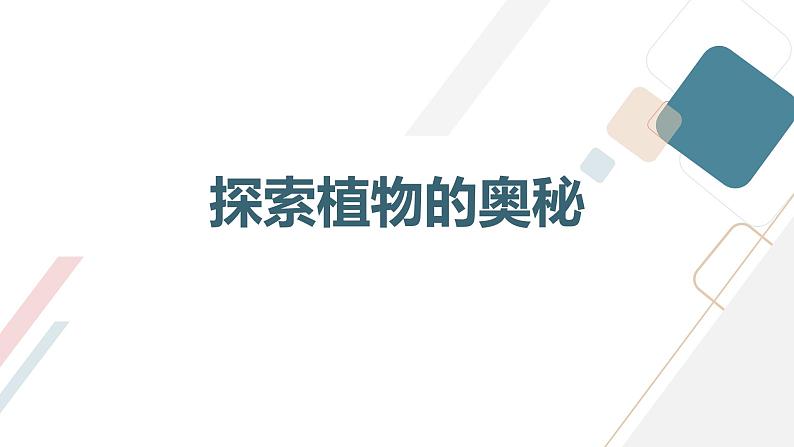 粤教版三年级下册综合实践活动第1课我的植物“邻居”教学课件03