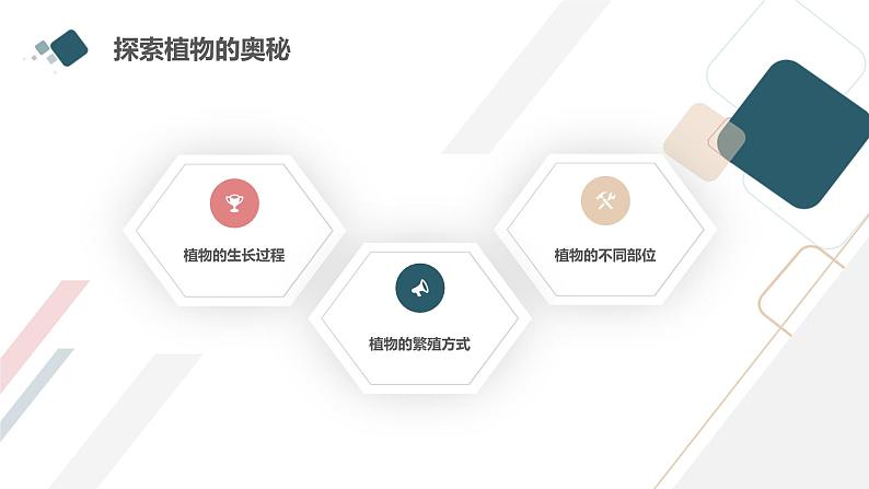 粤教版三年级下册综合实践活动第1课我的植物“邻居”教学课件04