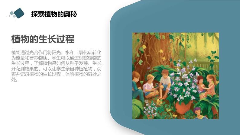 粤教版三年级下册综合实践活动第1课我的植物“邻居”教学课件05