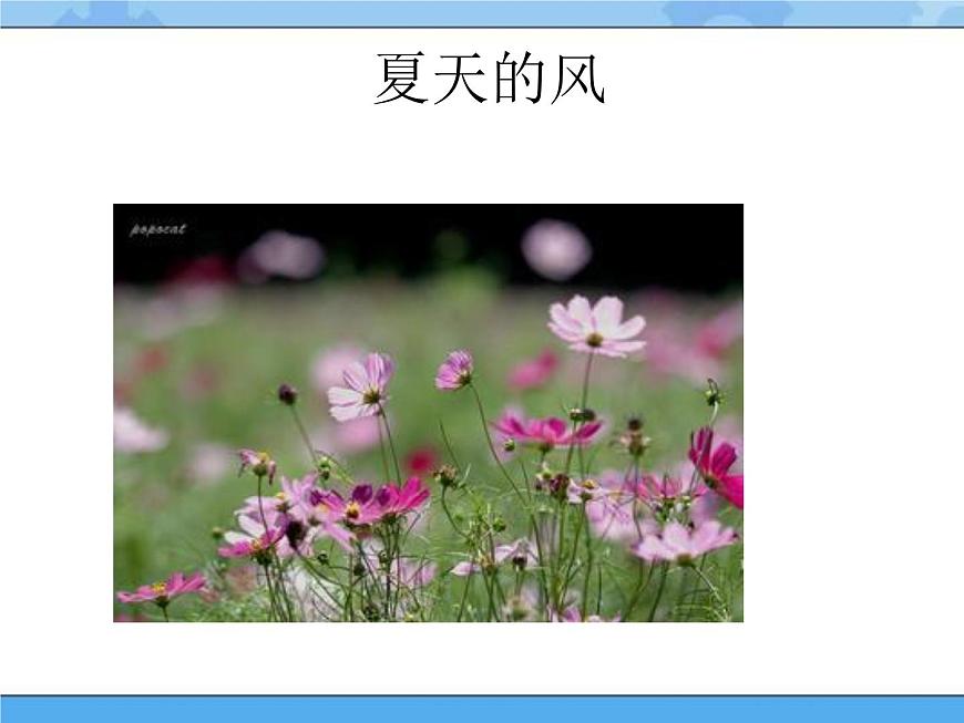 主題三 1 我們知道的風(fēng)——風(fēng)的脾氣 課件PPT課件PPT第8頁(yè)