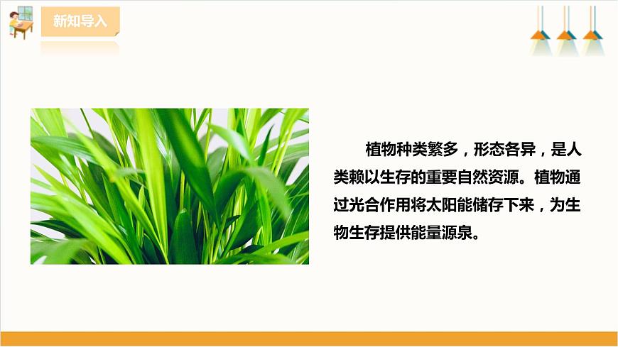 粵教版三年級(jí)下冊(cè)綜合實(shí)踐活動(dòng)第一單元《我的植物“鄰居”》第一課時(shí)  課件第2頁