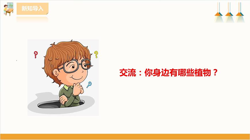 粵教版三年級(jí)下冊(cè)綜合實(shí)踐活動(dòng)第一單元《我的植物“鄰居”》第一課時(shí)  課件第3頁