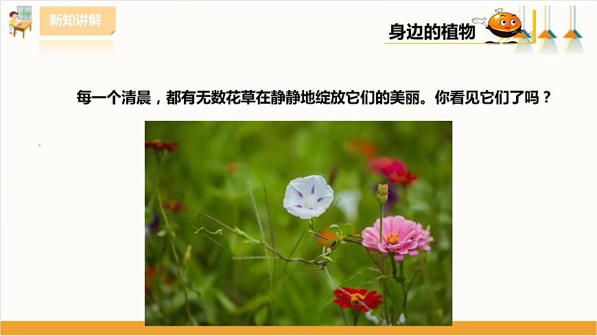 粵教版三年級(jí)下冊(cè)綜合實(shí)踐活動(dòng)第一單元《我的植物“鄰居”》第一課時(shí)  課件第8頁