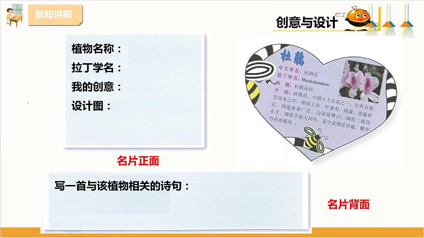 粵教版三年級下冊綜合實踐活動第一單元《我的植物“鄰居”》第二課時  課件第5頁