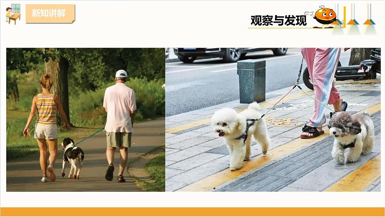 粤教版三年级下册综合实践活动第二单元《家有宠物》第一课时 课件第6页