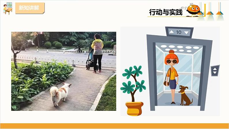 粤教版三年级下册综合实践活动第二单元《家有宠物》第二课时 课件06