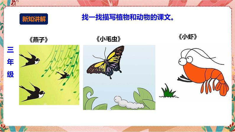 深圳版综合实践活动指引四年级 第一单元“藏 在课文中的小生灵 课件+素材05