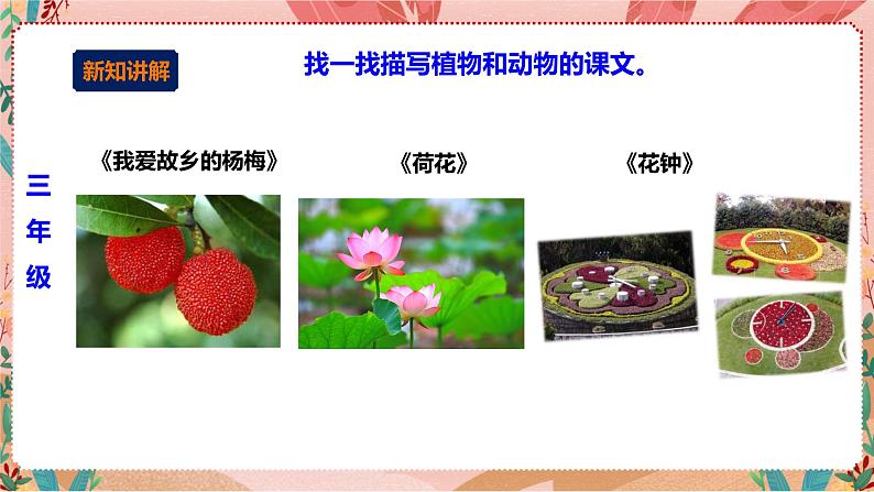 深圳版综合实践活动指引四年级 第一单元“藏 在课文中的小生灵 课件+素材06