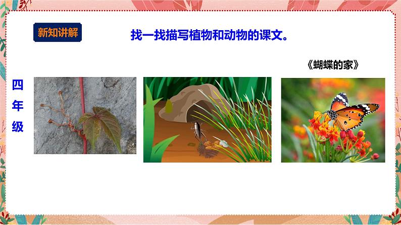 深圳版综合实践活动指引四年级 第一单元“藏 在课文中的小生灵 课件+素材07