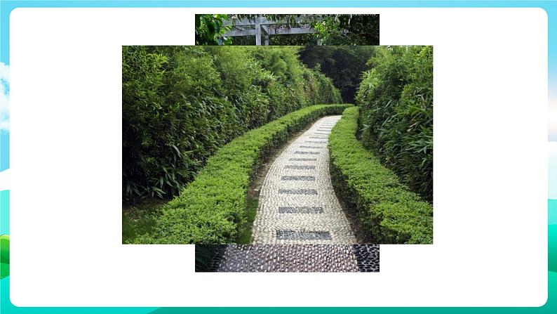 沪科黔科版综合实践活动三年级下册 《漫游石头王国 活动二 健康护航员——卵石路》课件02