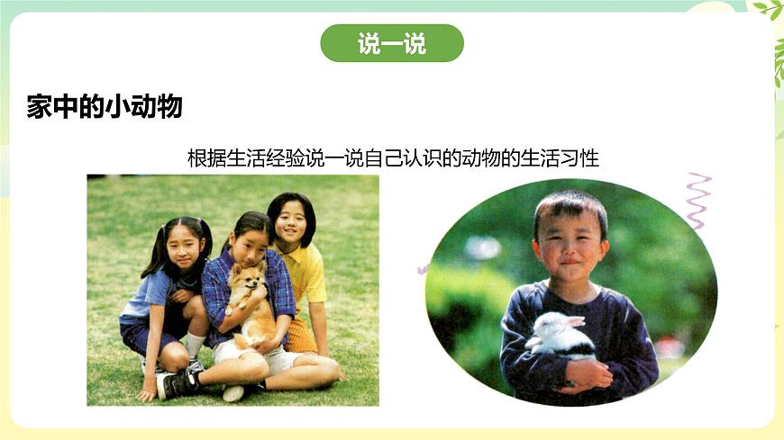 粵教版綜合實(shí)踐活動(dòng)四年級(jí)下冊(cè)《身邊的動(dòng)物》 課件第5頁