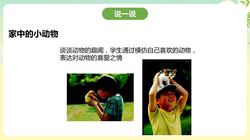 粵教版綜合實(shí)踐活動(dòng)四年級(jí)下冊(cè)《身邊的動(dòng)物》 課件第6頁