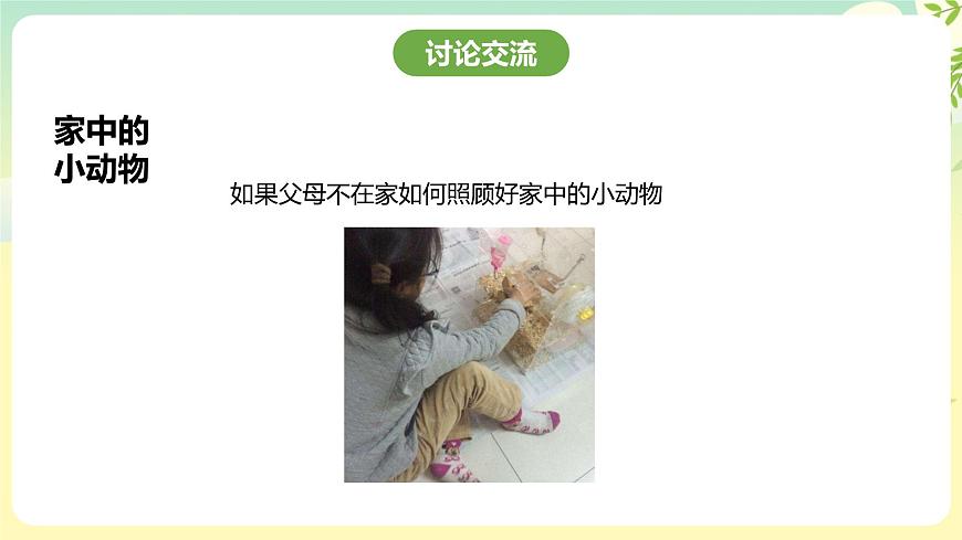 粵教版綜合實(shí)踐活動(dòng)四年級(jí)下冊(cè)《身邊的動(dòng)物》 課件第7頁