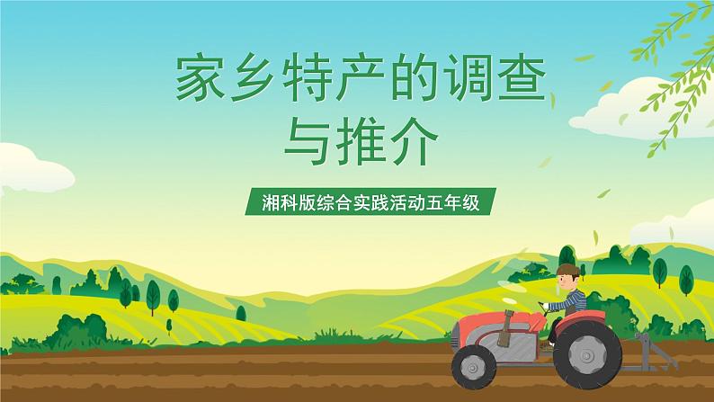 湘科版综合实践活动五年级2.《家乡特产的调查与推介》课件+教案01