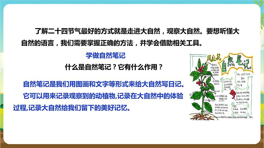 湘科版綜合實踐活動三年級1.《 跟著節(jié)氣去探究》課件第7頁