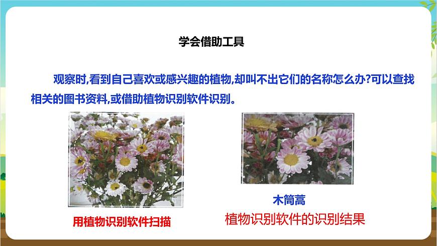 湘科版綜合實踐活動三年級1.《 跟著節(jié)氣去探究》課件第8頁