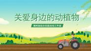 小学综合实践活动湘科版三年级关爱身边的动植物优秀课件ppt