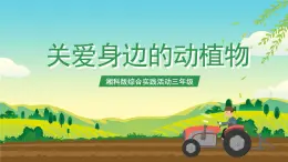 湘科版综合实践活动三年级3.《关爱身边的动植物》课件+教案