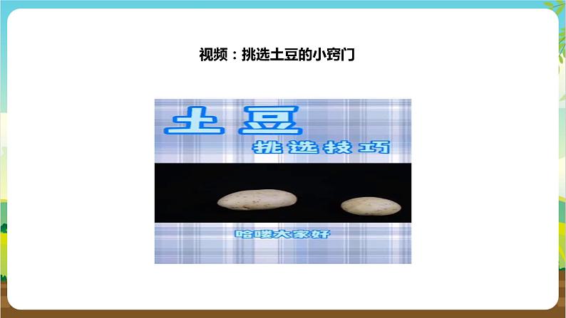 湘科版综合实践活动三年级9.《学做简单的家常餐》课件第6页