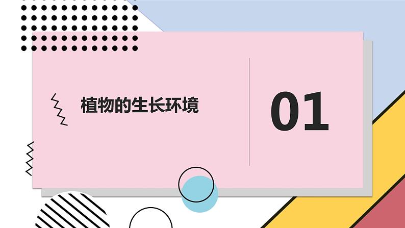 安徽大学版小学三年级上册综合实践活动第1课认识植物朋友【课件】第3页