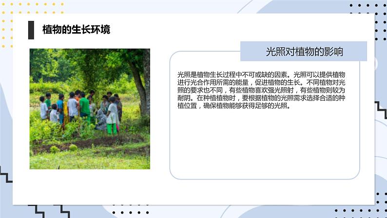 安徽大学版小学三年级上册综合实践活动第1课认识植物朋友【课件】第6页