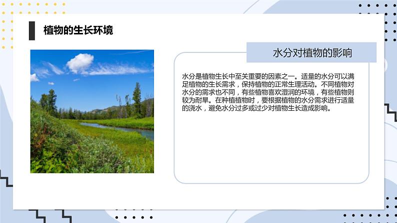 安徽大学版小学三年级上册综合实践活动第1课认识植物朋友【课件】第7页
