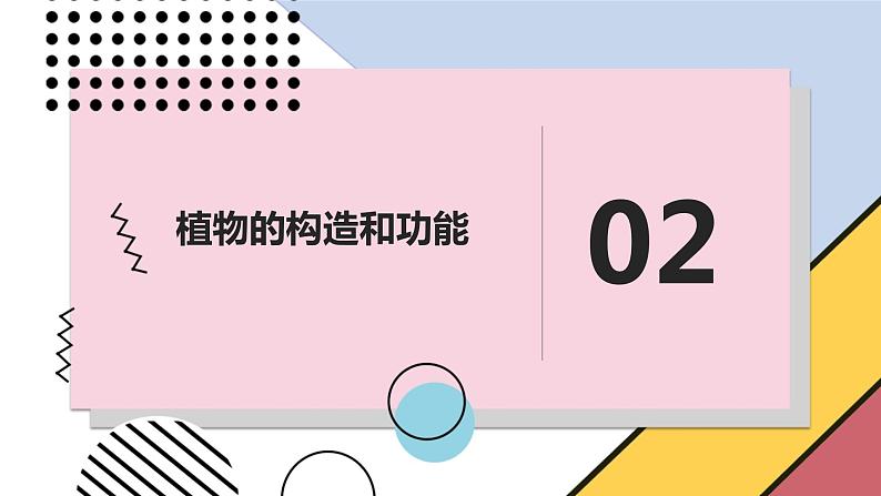 安徽大学版小学三年级上册综合实践活动第1课认识植物朋友【课件】第8页