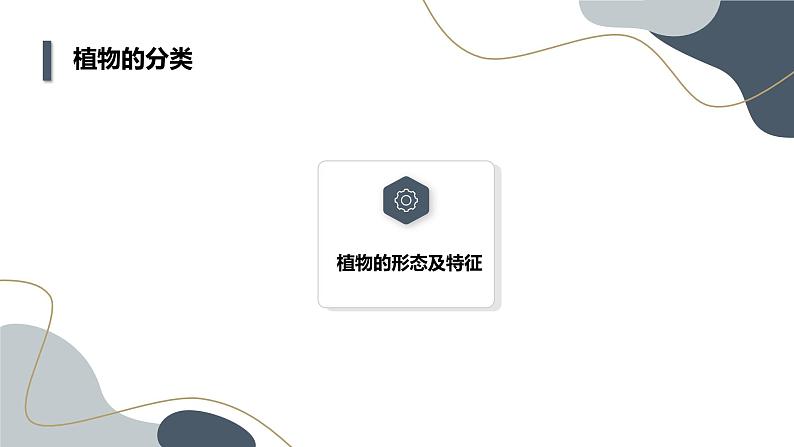 安徽大学版小学三年级上册综合实践活动第1课探寻植物王国(课件)第8页