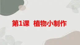 安徽大学版小学三年级上册综合实践活动第1课植物小制作【课件】