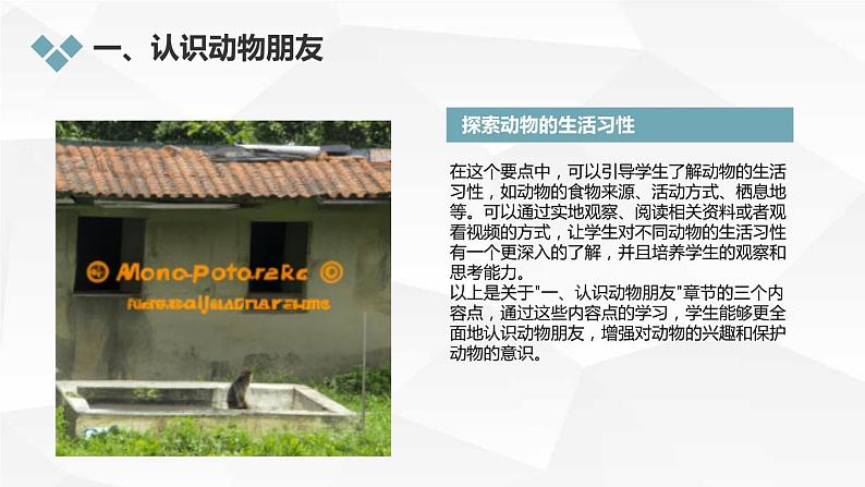 安徽大学版小学三年级下册综合实践活动1动物朋友(课件)第7页