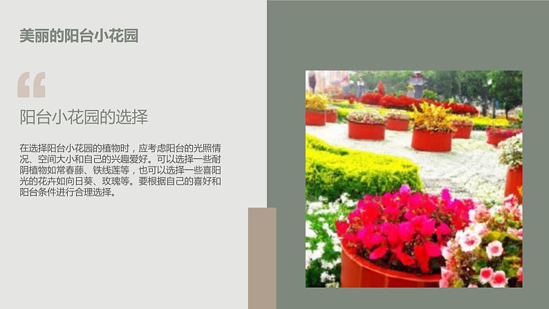 最新长春版小学三年级下册综合实践活动 第13课 阳台小花园(课件)第5页