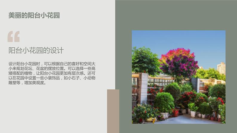 最新长春版小学三年级下册综合实践活动 第13课 阳台小花园(课件)第6页