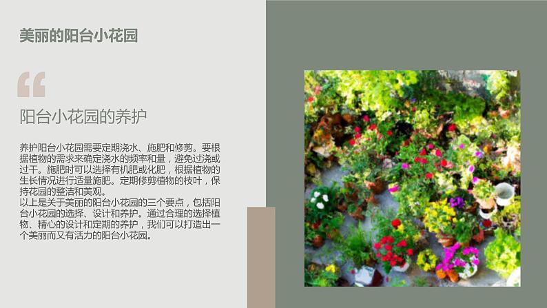 最新长春版小学三年级下册综合实践活动 第13课 阳台小花园(课件)第7页