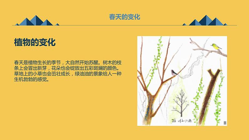 最新长春版小学三年级下册综合实践活动第6课 相约春天(课件)第6页
