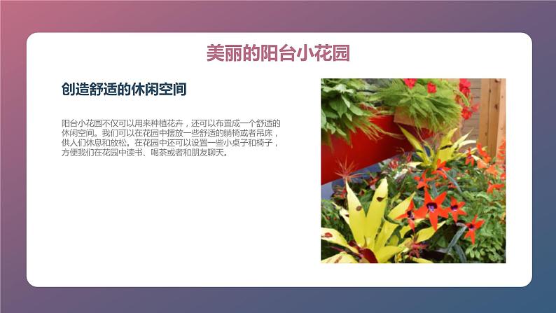 最新长春版小学三年级下册综合实践活动第13课 阳台小花园(课件)第6页
