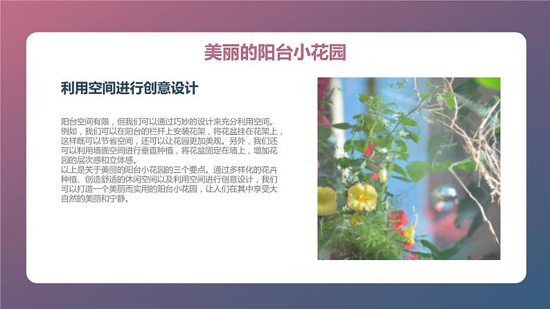 最新长春版小学三年级下册综合实践活动第13课 阳台小花园(课件)第7页