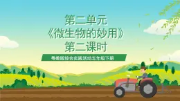 粤教版综合实践活动五年级下册第二单元《微生物的妙用》第二课时 课件+教案