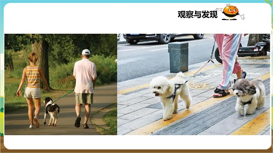 粵教版綜合實踐活動三年級下冊第二單元《家有寵物》第一課時  課件第6頁