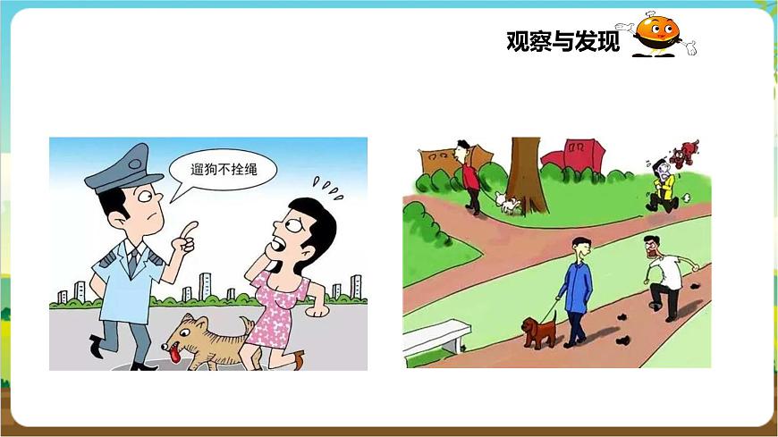 粵教版綜合實踐活動三年級下冊第二單元《家有寵物》第一課時  課件第7頁
