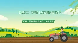 滬科·黔科版綜合實踐三年級下冊  警惕意外傷害 活動二《別讓動物傷害你》課件+教案+素材