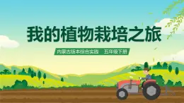 內(nèi)蒙古版綜合實(shí)踐活動(dòng)五下 第四單元 主題活動(dòng)一《我的植物栽培之旅》課件+教案+素材
