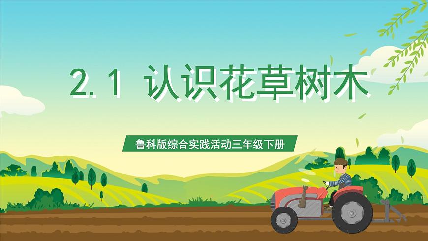 魯科版綜合實踐活動三年級下冊2.1《認識花草樹木》課件第1頁