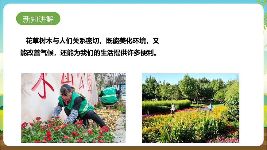 魯科版綜合實踐活動三年級下冊2.1《認識花草樹木》課件第4頁