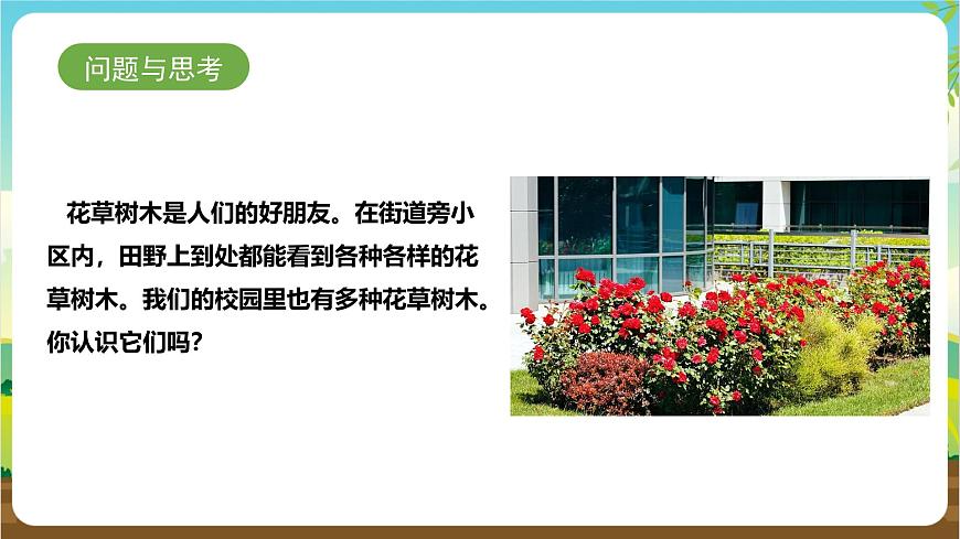 魯科版綜合實踐活動三年級下冊2.1《認識花草樹木》課件第5頁