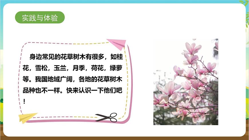 魯科版綜合實踐活動三年級下冊2.1《認識花草樹木》課件第6頁