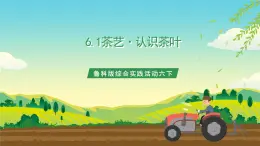 魯科版綜合實(shí)踐活動(dòng)六下  6.1《茶藝·認(rèn)識(shí)茶葉》課件+教案+素材