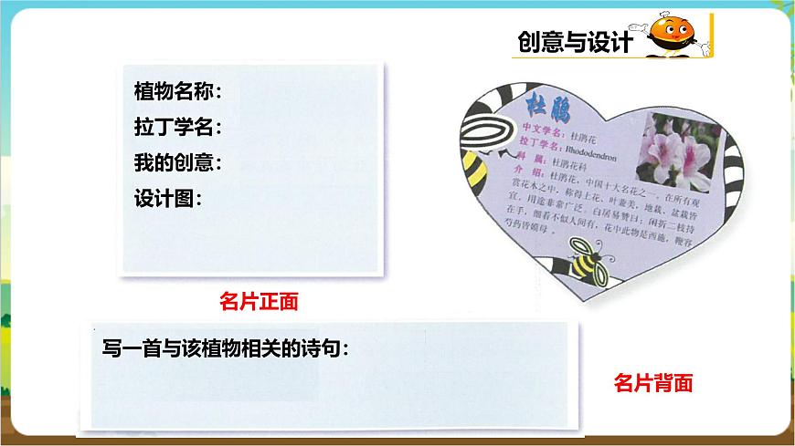 粤教版综合实践活动三年级下册第一单元《我的植物“邻居”》第二课时 课件第5页
