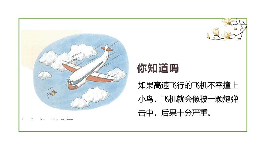 【川教版】《生命 生態(tài) 安全》一年級上冊第6課 危險的碰撞 課件第6頁