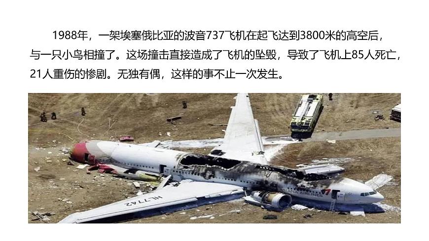 【川教版】《生命 生態(tài) 安全》一年級上冊第6課 危險的碰撞 課件第7頁